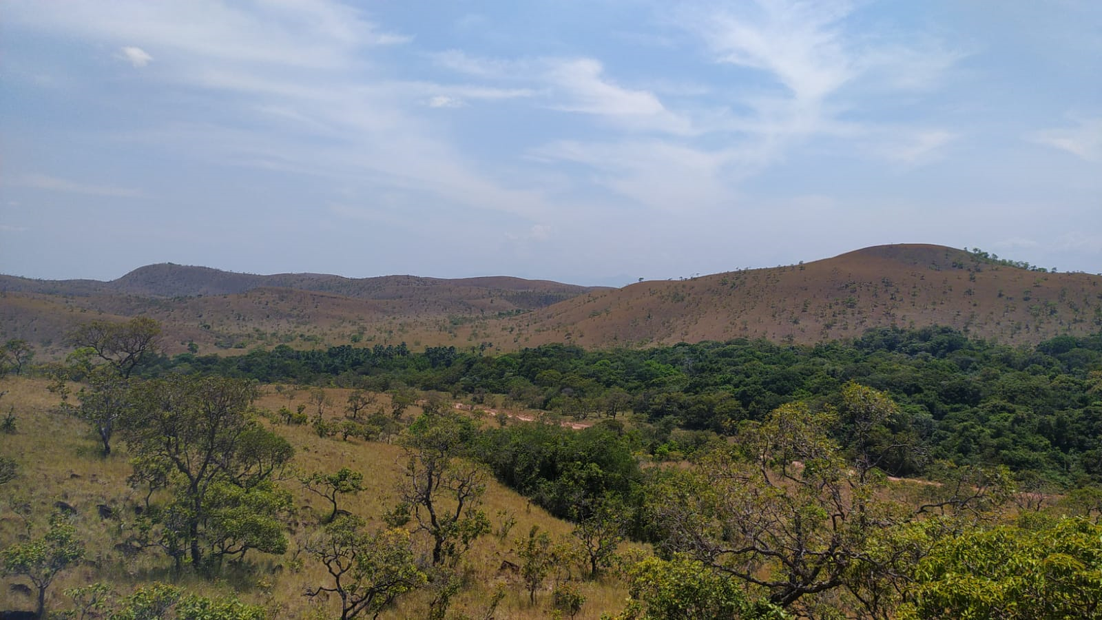 Tacutu